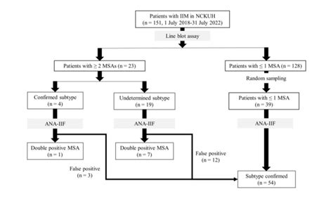 Flowchart Of Patient Selection Iim Idiopathic Inflammatory Myopathy