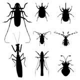 Cricket Insect Silhouette Stock Illustrations – 140 Cricket Insect ...