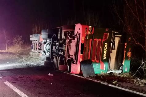 Over 200 Sheep Die After Lorry Overturns In Borders Horror Crash Daily Record