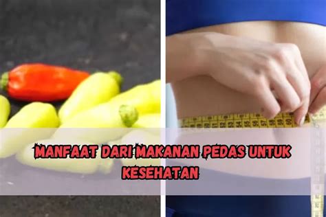 Pecinta Makanan Pedas Harus Tau Ini Loh Manfaat Makanan Pedas Untuk