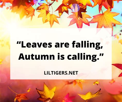 Best Leaf Quotes Sayings Captions Lil Tigers