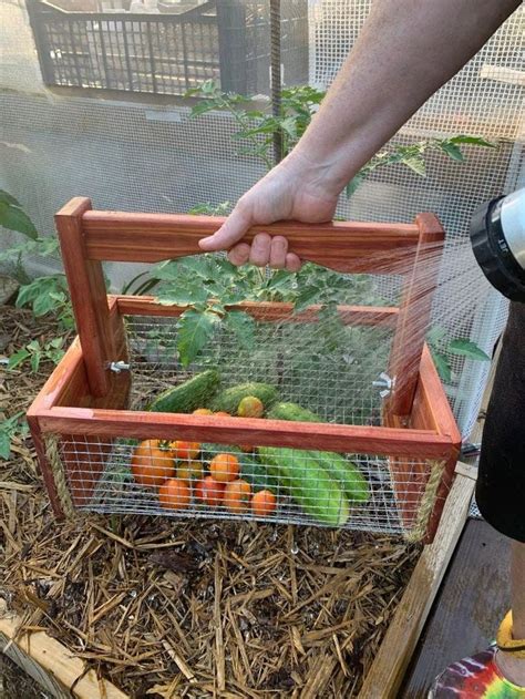 Cedar Garden Harvest Basket Cedar Garden Tote Hod Vegetable Picnic Egg