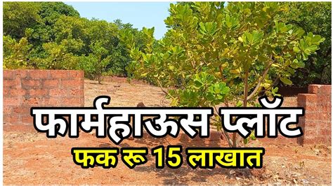 फार्महाऊस प्लॉट फक्त रू 15 लाखात चीरा कंपाऊंड 24 तास पाणी लाईट काजू आंबा नारळ झाडे Youtube