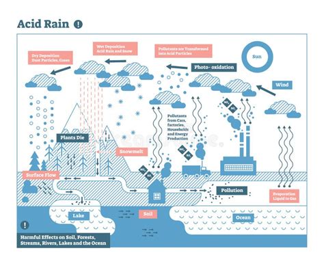 Efectos De La Sustancia Química De Lluvia ácida Y Daño En El Diagrama