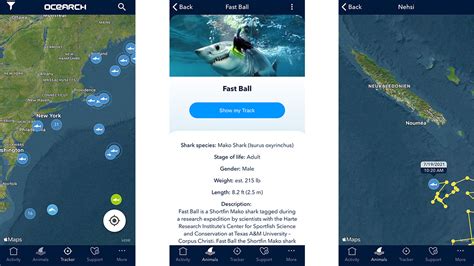 Ocearch Shark Tracker Android App Download Chip