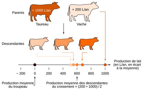 Introduction à lamélioration génétique animale et exemples d