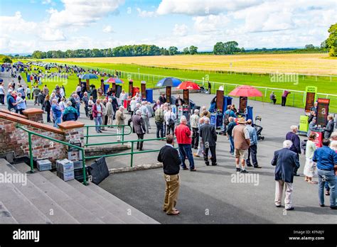 On Course Horse Racing Bookmakers Hi Res Stock Photography And Images