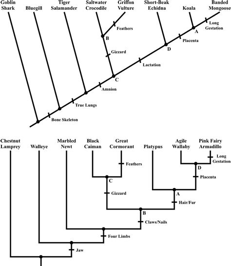 Further Effects Of Phylogenetic Tree Style On Student Comprehension In