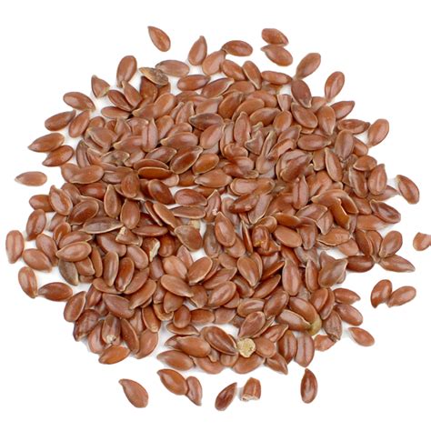 Flax Seeds PNG Transparent Images, Pictures, Photos