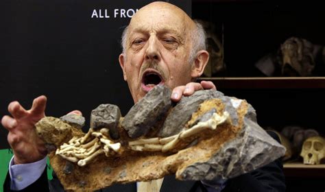 Rare Skeleton Shown Of Human Ancestor 3 6 Million Years Old The