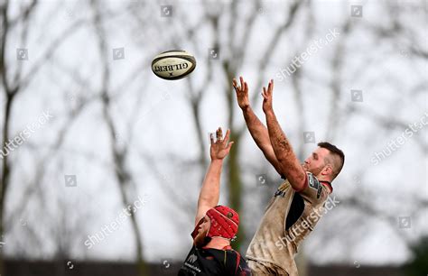 Dragons Vs Ulster Alan Oconnor Ulster Editorial Stock Photo Stock