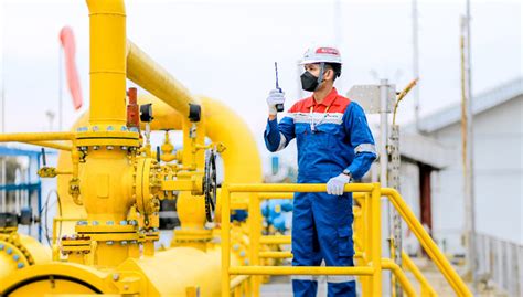 Pgn Subholding Gas Pertamina Catat Laba Bersih Rp Triliun Di