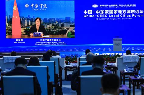 Director General Ms Bao Xianping Attends The China Ceec Local Cities Forum