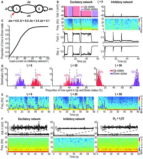 Excitatory Inhibitory Network A Schematic Of Connectivity Between The Download Scientific