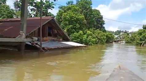 Banjir Rendam Sejumlah Wilayah Ketapang Ketinggian Air Hingga Meter