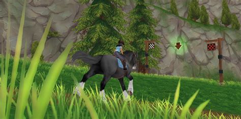 Ein Neues Rennen In Valedale Star Stable