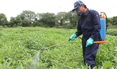 Destinan Recursos Para El Sector Agr Cola De Quintana Roo Para Vigilar