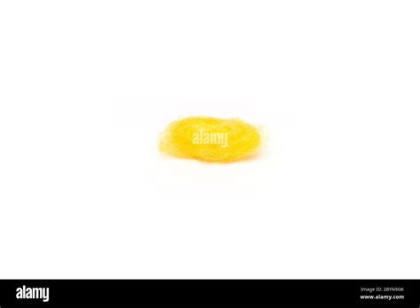 Cocoon Isolated On White Background Stock Photo Alamy