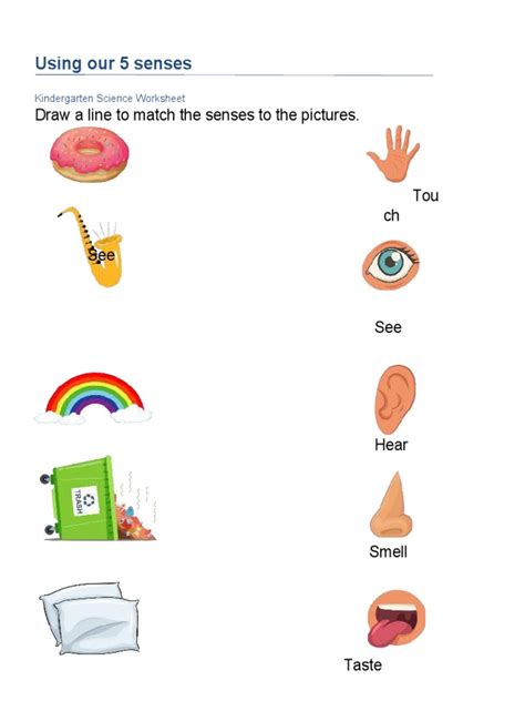 Five senses worksheet | PDF