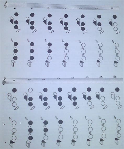 Lista 105 Foto Como Aprender A Tocar Flauta Paso A Paso Actualizar