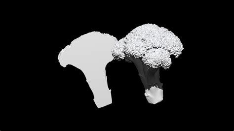 3d Broccoli Cut 3d Ct Scan Model 3 Decimate 30percent Turbosquid 1886438