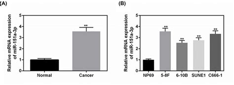 The Levels Of Mir A P Were Up Regulated In Different Npc Cell