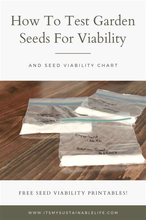 Three Seed Bags With The Words How To Test Garden Seeds For Viability On Them