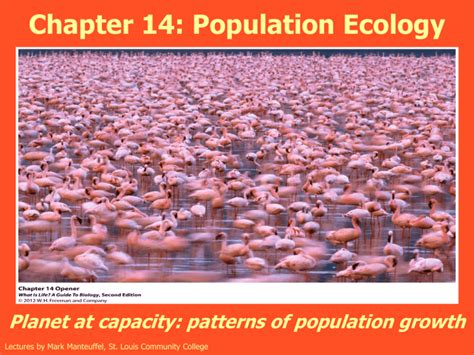 Lecture Ch Population Ecology