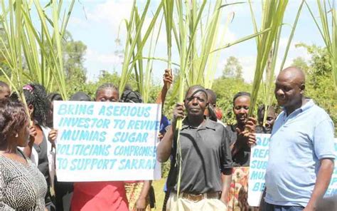 Ruto Promises To Breathe Life Into Mumias Sugar Write Off Debts