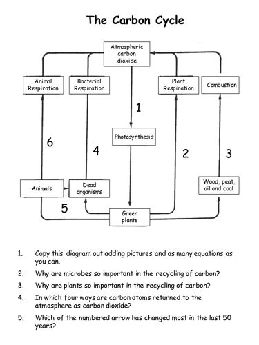 The Carbon Cycle with animation by mitec - UK Teaching Resources - TES