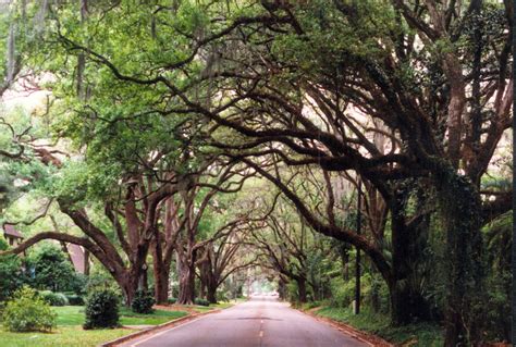 The Top Things to Do Near Marion County, Florida! - Secure Built, LLC - Custom Home Builder in ...