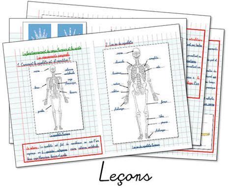 Les Mouvements Corporels Sciences Ce Os Du Corps Humain Sciences Cm