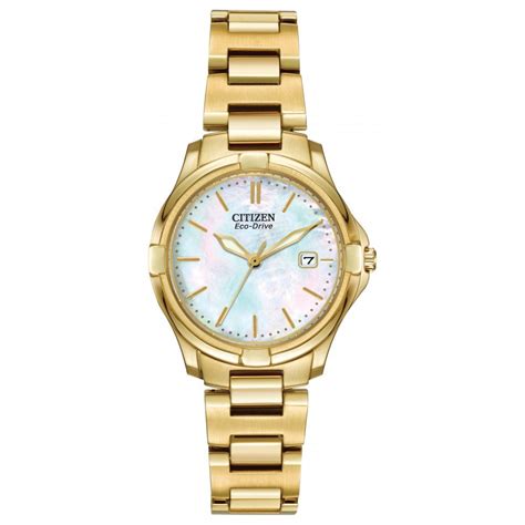 Citizen Eco Drive Gold Watch