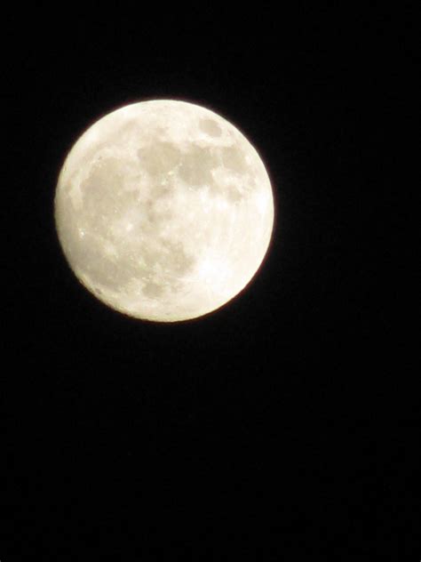 Clear Moon | Moon pictures, Celestial bodies, Moon