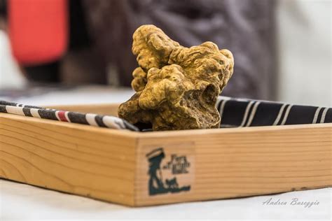 La Fiera Del Tartufo Moncalvo 2021 Info E Programma Gran Monferrato