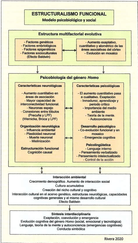 Psicobiología Del Género Homo Influencia Socio Cultural En El Origen