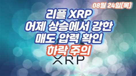 리플 Xrp 어제 상승에서 강한 매도 압력 확인 하락 주의 Youtube