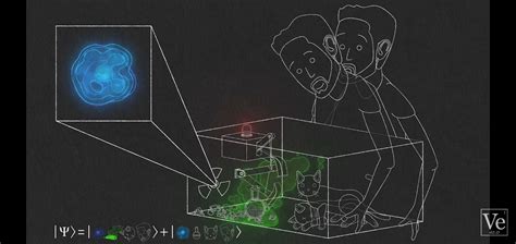 Schrödinger Cat Experiment And It S Effect On Parallel Universes Nc