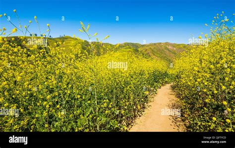 Harmon Canyon Preserve Hi Res Stock Photography And Images Alamy