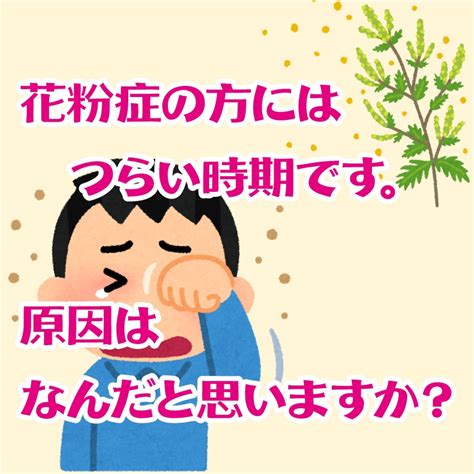 花粉症の原因 こころとからだの整体 こばやし治療院