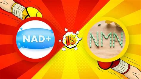 Nad Vs Nmn Whats The Difference Rt Medical Usa