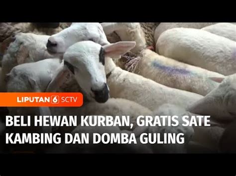 Unik Menarik Minat Pembeli Beli Hewan Kurban Gratis Sate Dan Domba