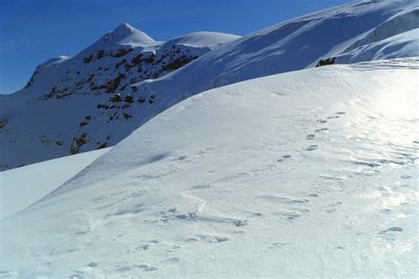 Ab Dem Iswandli Wurds Winterlich Fotos Hikr Org