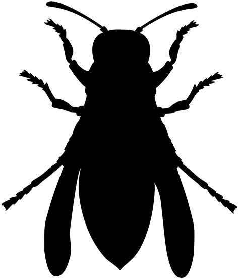 Hornet Silhouette Svg