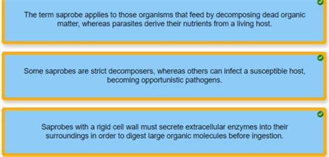 Chapter 7 Microbial Nutrition And Growth Flashcards Quizlet