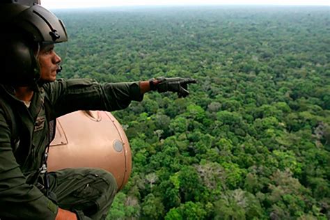 Chocó Contra Un Boeing 737 A 11 Mil Metros De Altura Y Sobrevivió