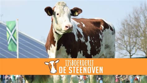 Ijsboerderij De Steenoven Nieuwe Kalfjes Youtube