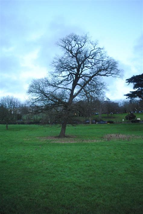 Petersham Meadows Walking From Richmond Park To Richmond T Flickr