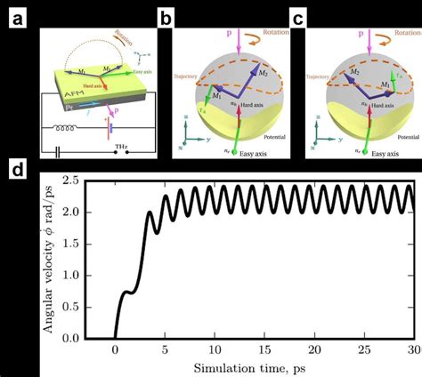 A Schematic Of The Thz Antiferromagnetic Oscillator Driven By Spin