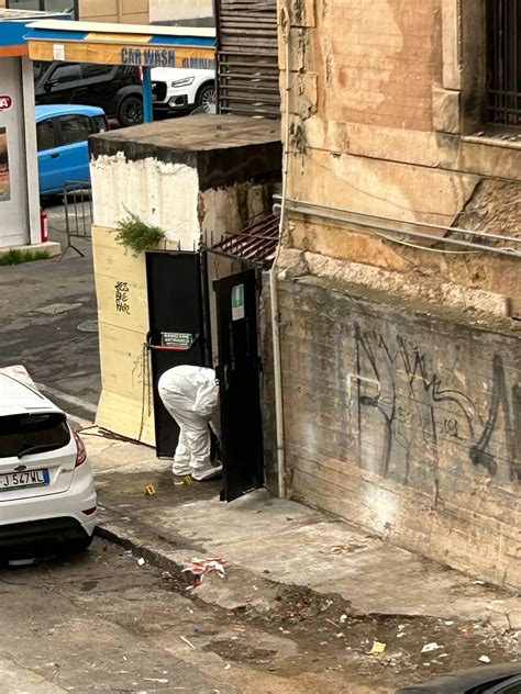 Palermo omicidio in via Calvi così è morto Rosolino Celesia